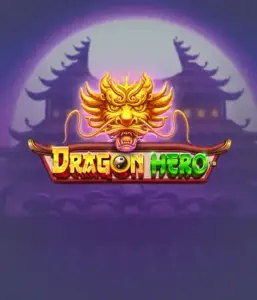 Enter a fantastic quest with Dragon Hero Slot by Pragmatic Play, featuring stunning visuals of ancient dragons and heroic battles. Discover a realm where fantasy meets adventure, with featuring treasures, mystical creatures, and enchanted weapons for a captivating adventure.